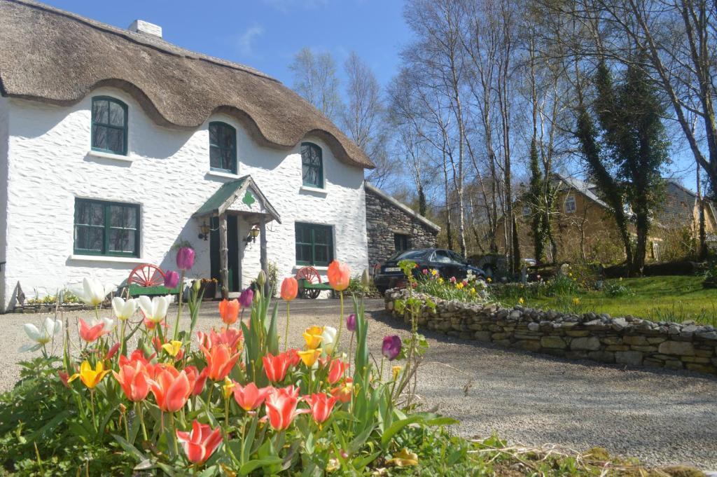 Lissyclearig Thatched Cottage Кенмер Екстер'єр фото