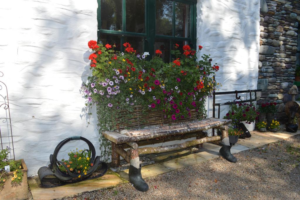Lissyclearig Thatched Cottage Кенмер Екстер'єр фото