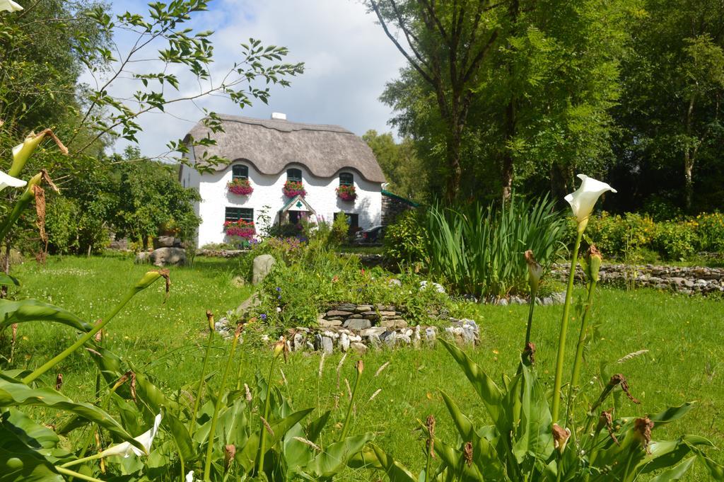 Lissyclearig Thatched Cottage Кенмер Екстер'єр фото